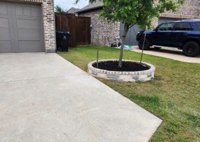 Professional Landscaping Company