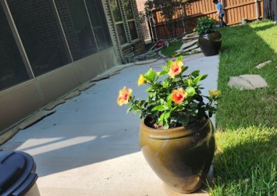 Trusted Landscaping Contractor